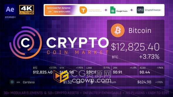 加密货币硬币市场股票数年分析介绍视频动画效果制作-AE模板