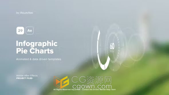 信息图表饼图AE模板29个可自定义数据饼图动画