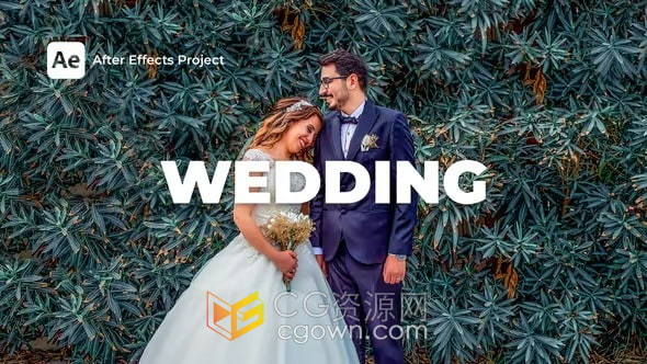 婚礼请柬邀请开场视频动画制作AE模板下载