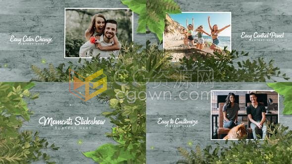 热带雨林树叶前景木板背景效果展示照片动画视频相册制作工程-AE模板下载