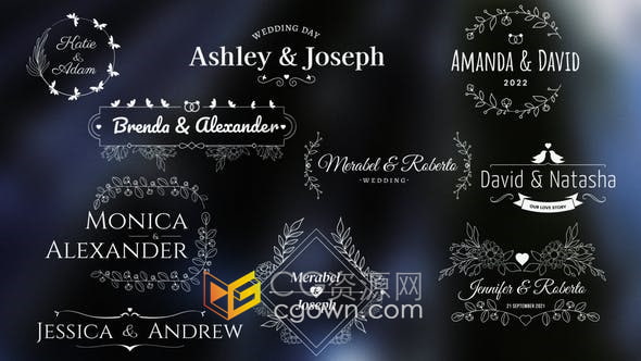 AE模板-10个非常实用的浪漫婚礼标签徽章请柬标题动画