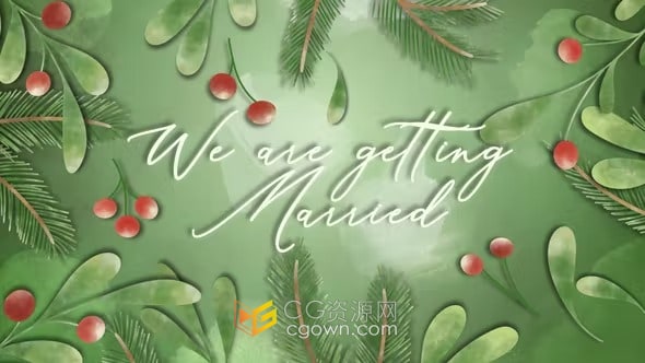 优雅花卉婚礼请柬视频制作AE模板Wedding Invitation