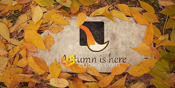 秋天地面叶子吹散展示石头上的LOGO动画视频片头-AE模板