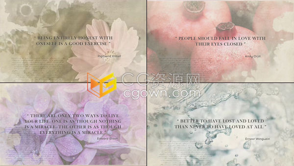 墨迹Grunge风格水墨晕染效果纪录片书籍历史典故引用介绍文字标题视频相册-AE模板