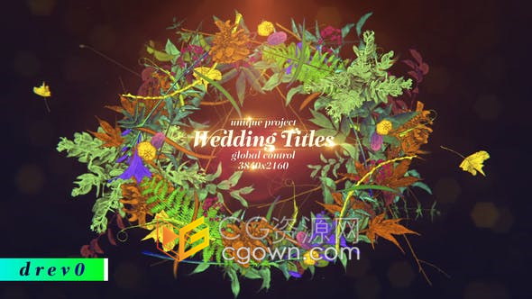 美丽手绘鲜花植物夜光花圈浪漫婚礼徽章老式字体圣诞节日标题-AE模板