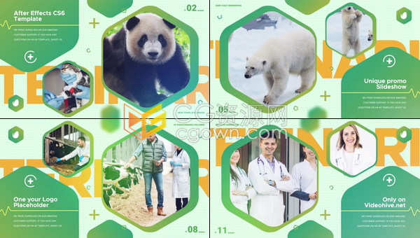 动物保护兽医宣传片宠物诊所动物救援活动论坛绿色和平主题宣传视频-AE模板下载