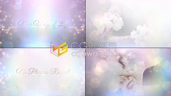 梦幻柔和漏光效果唯美婚礼现场背景视频浪漫婚礼预告片精美相册-AE模板