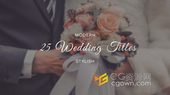 AE模板-25个复古漂亮婚礼标题徽章元素动画