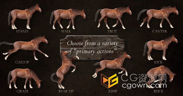 使用AE中的木偶图钉工具创建逼真的4K自定义马动画-AE模板