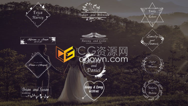 简约高端生长花效果唯美浪漫婚礼文字标题动画AE模板免费下载