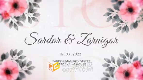 婚礼请柬简介结婚邀请介绍视频动画-AE模板下载