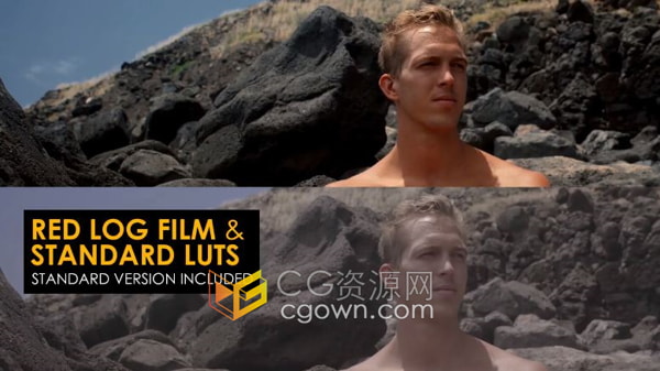 AE调色预设包26个常用电影级校色Luts调色cube/ffx文件下载