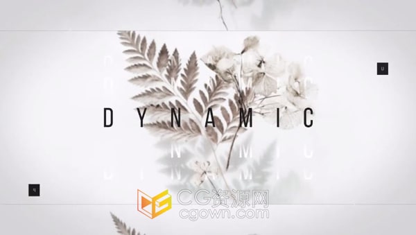 AE模板-带方形垂直版抽象社交媒体平台展示新品美食达人旅行视频