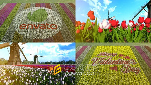 花田风景花朵鲜花摆成文字标题标志图案动画效果视频片头-AE模板