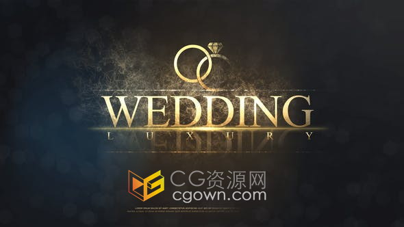 Wedding浪漫婚礼幻灯片金色粒子特效文字动画图片视频-AE模板