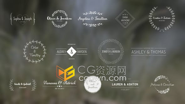 AE模板-Wedding Titles典雅复古时尚婚礼标题徽章字幕动画