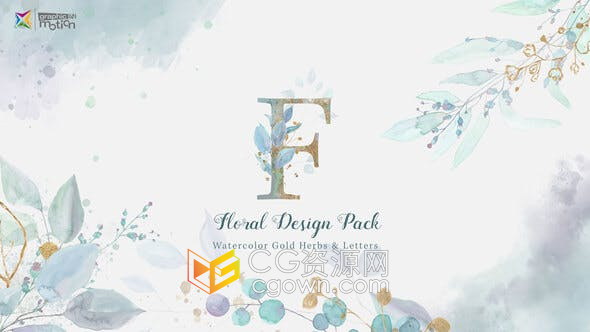 AE模板-大量效果手绘水彩多种花卉元素动画设计包效果视频