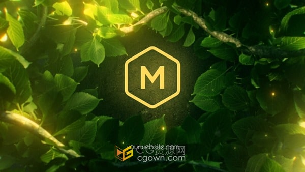 萤火虫般光芒闪耀葱郁树丛枝叶揭开LOGO动画-AE模板