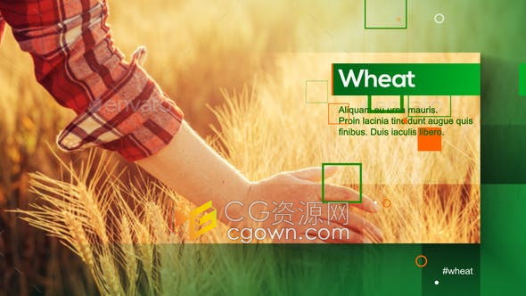 AE模板-农业宣传视频农场田野春耕种植农厂收获介绍图文动画