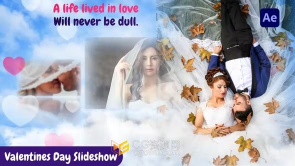 AE模板-甜蜜浪漫婚礼相册快乐情人节视频专辑周年纪念电子相册