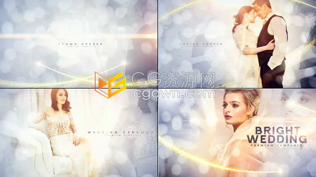 豪华璀璨婚礼相册视频制作金色粒子光线晚会典礼宣传片头效果-AE模板下载