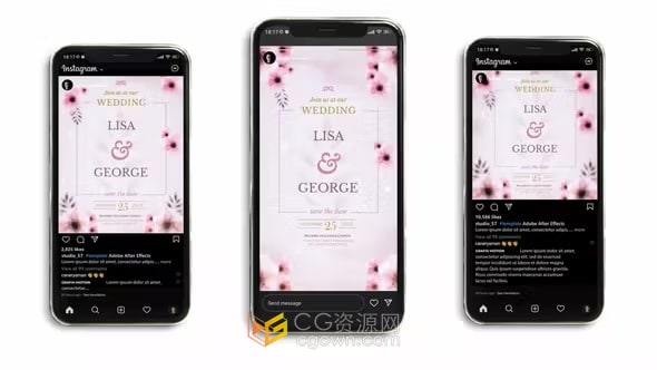 婚礼请柬简介结婚请帖小短视频动画AE模板下载