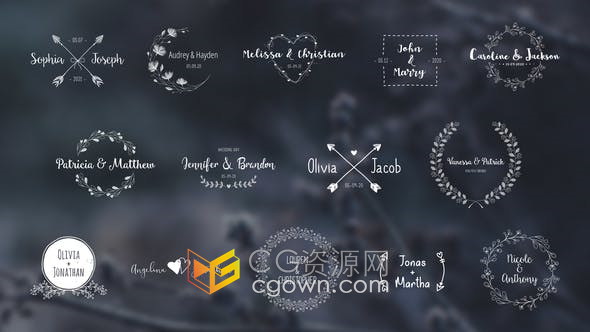 AE模板-14 Wedding Titles典雅时尚复古手绘图案婚礼标题包
