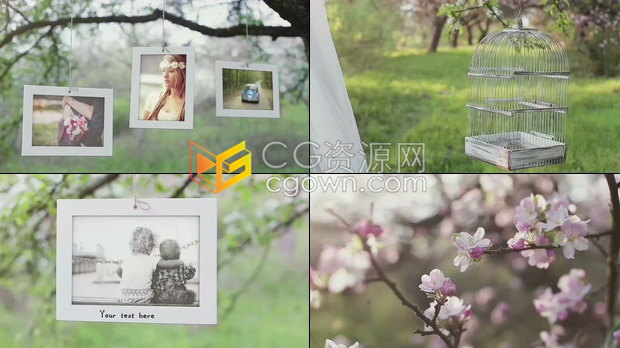 春天花园树林花卉实拍视频场景展示照片动画视频相册制作-AE模板下载