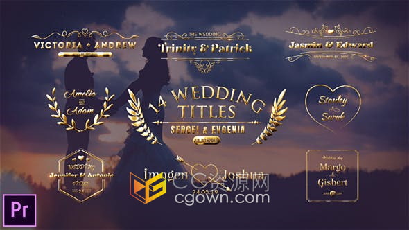 PR模板-14个金色粒子徽章图案设计婚礼标题视频字幕Wedding Titles
