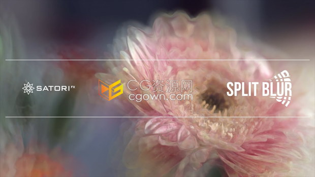 AE/PR插件 Split Blur v1.0.3万花筒分割模糊迷幻绘画视觉特效