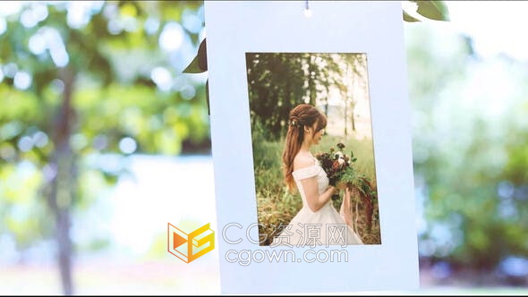 AE模板-阳光明媚树林实拍视频挂着照片相册可替换相册