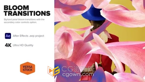 12种花卉主题花瓣花朵绽放过渡元素-AE转场模板