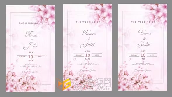 柔美浪漫粉色系竖屏邀请函婚礼请柬活动庆典邀约-AE小视频模板