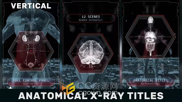 12个垂直AE模板解剖场景X射线医疗主题人体HUD标题