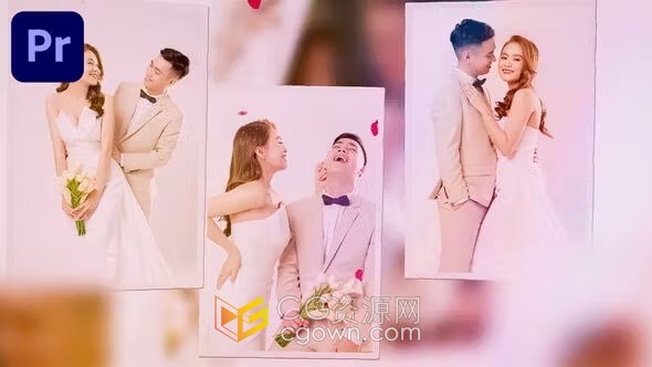 AE模板-柔和甜美花瓣掉落视频动画浪漫婚礼照片幻灯片