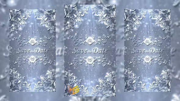 AE模板-高贵纯洁银色曼陀罗图形元素设计皇家婚礼请柬浪漫邀请函