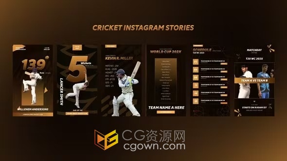 6 个独特的板球竖屏海报展示板球统计数据赛程介绍-AE模板