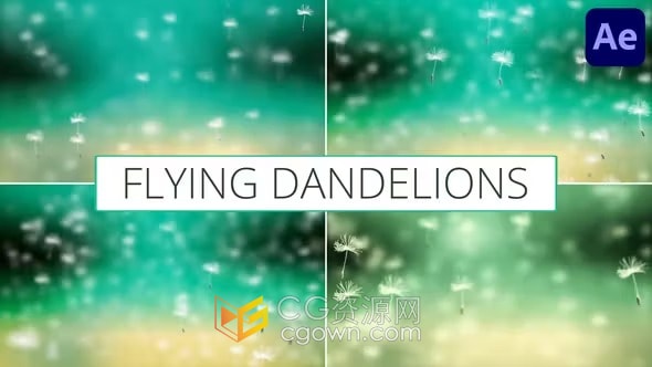 逼真的蒲公英飞行动画适合用于背景屏幕保壁纸-AE模板