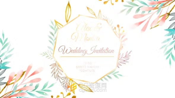 AE模板-清新简约婚礼请柬花卉动画电子邀请函