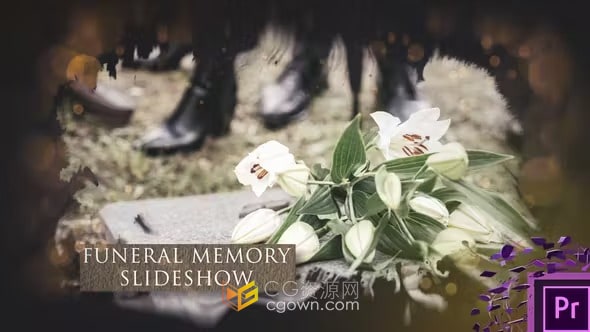 悲伤水墨风回忆幻灯片视频相册-AE与PR模板