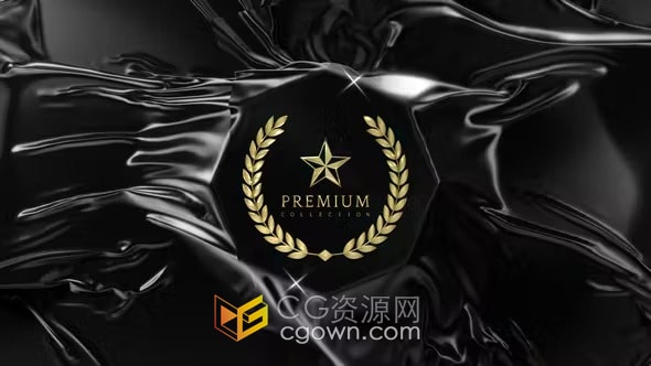 AE模板-柔软布料流动光泽感优雅神秘标志揭晓动画