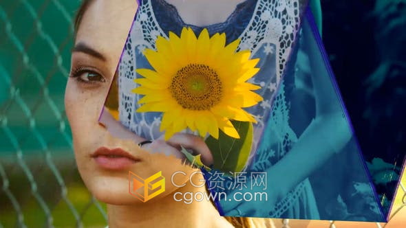 AE模板-擦除笔刷显示照片动画制作视频片头或相册视频