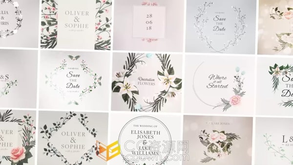 Wedding Titles 40组婚礼标题花卉设计文字标题AE模板