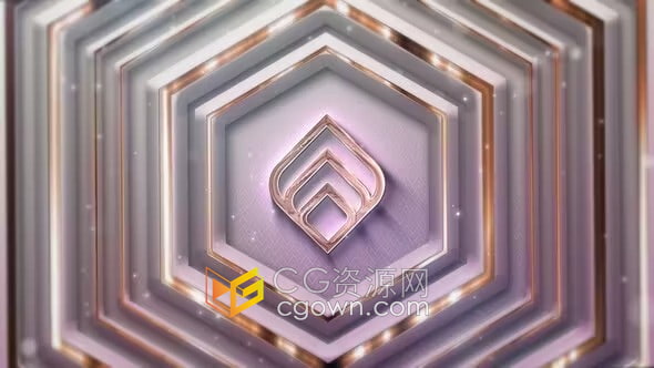 时尚柔和几何图形动画轻奢风格标志演示浪漫晚会婚宴视频片头AE模板