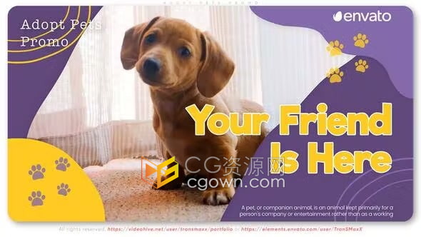 兽医诊所视频宠物护理治疗中心宠物幻灯片-AE模板