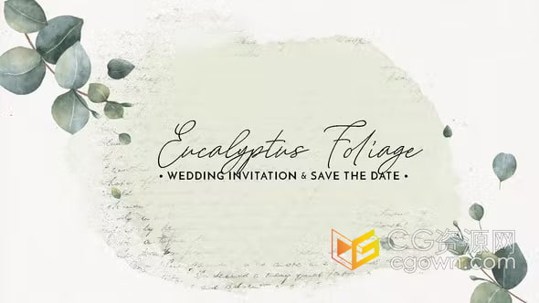桉树叶水彩花卉插图优雅简约婚礼请柬大气唯美视频邀请函-AE模板