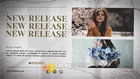 AE模板-时装商店营销视频Silky Mood Fashion Promo