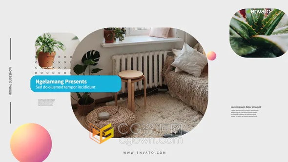 简约幻灯片展示园艺植物栽培学知识点图片文字介绍动画视频-AE模板