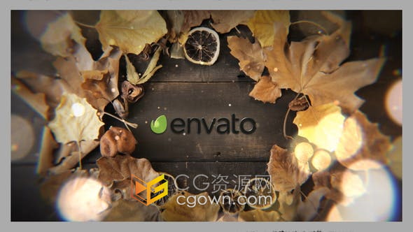 AE模板-秋季秋天树叶木地板背景场景LOGO视频片头