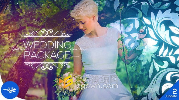 AE模板-浪漫婚礼视频制作唯美效果Wedding Package